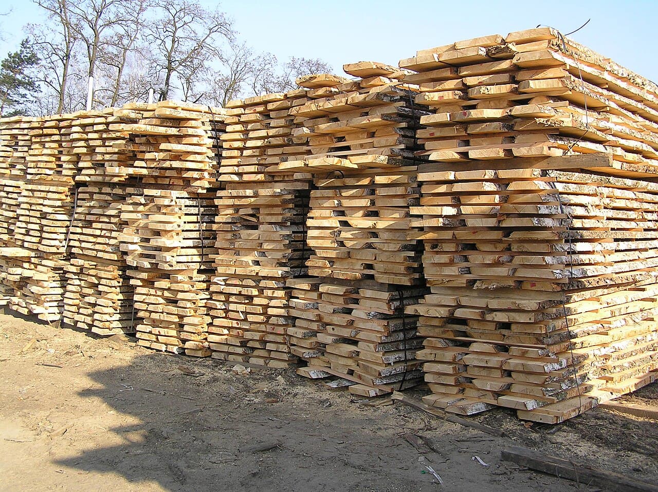 چوب روسی در ابعاد مختلف